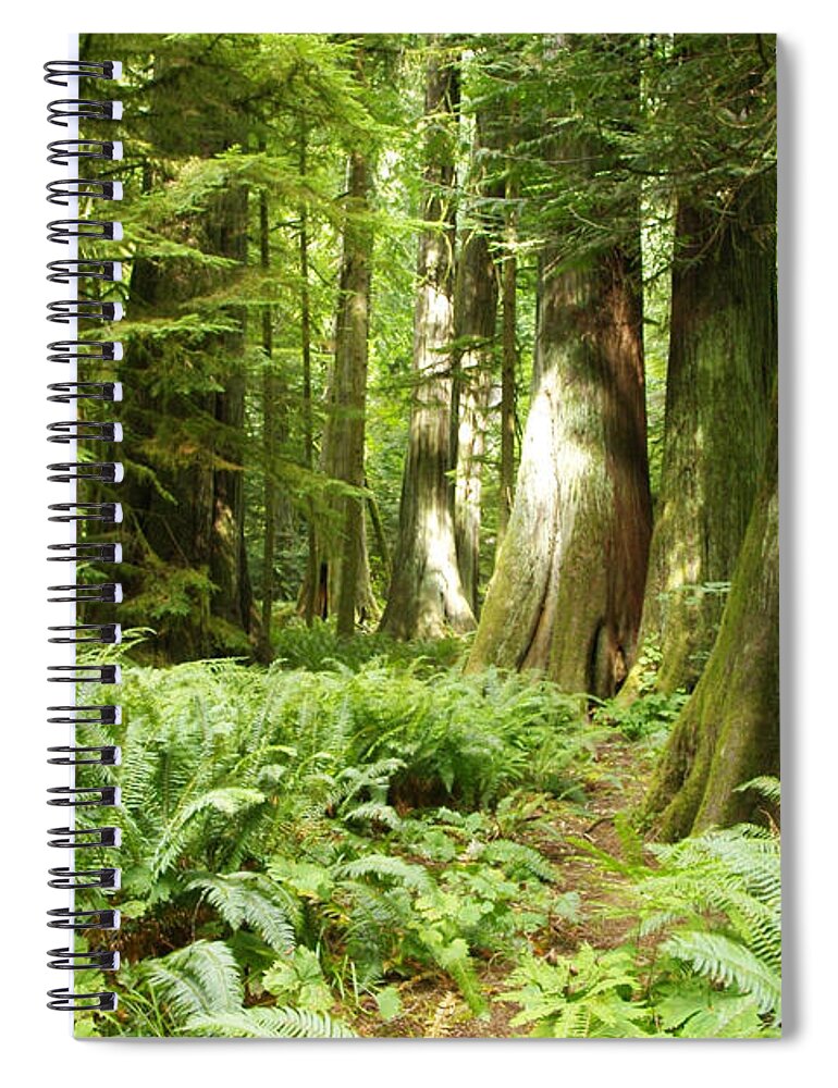 Forest Spiral Notebook featuring the photograph At Cathedral Grove by Marilyn Wilson