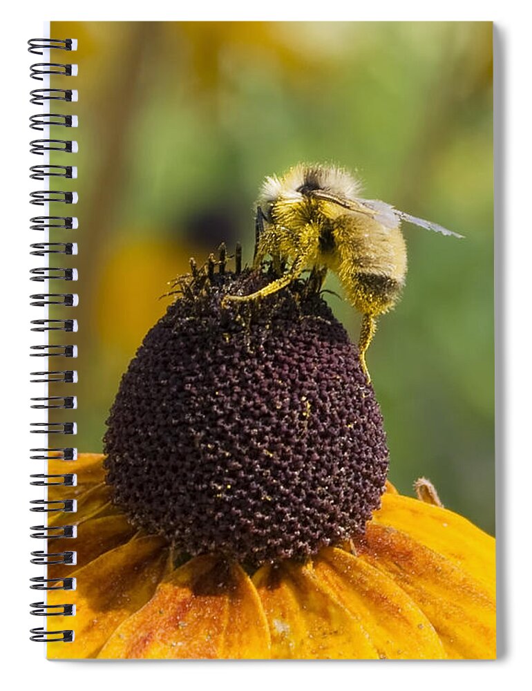 Nature Spiral Notebook featuring the photograph At Work by Rhonda McDougall
