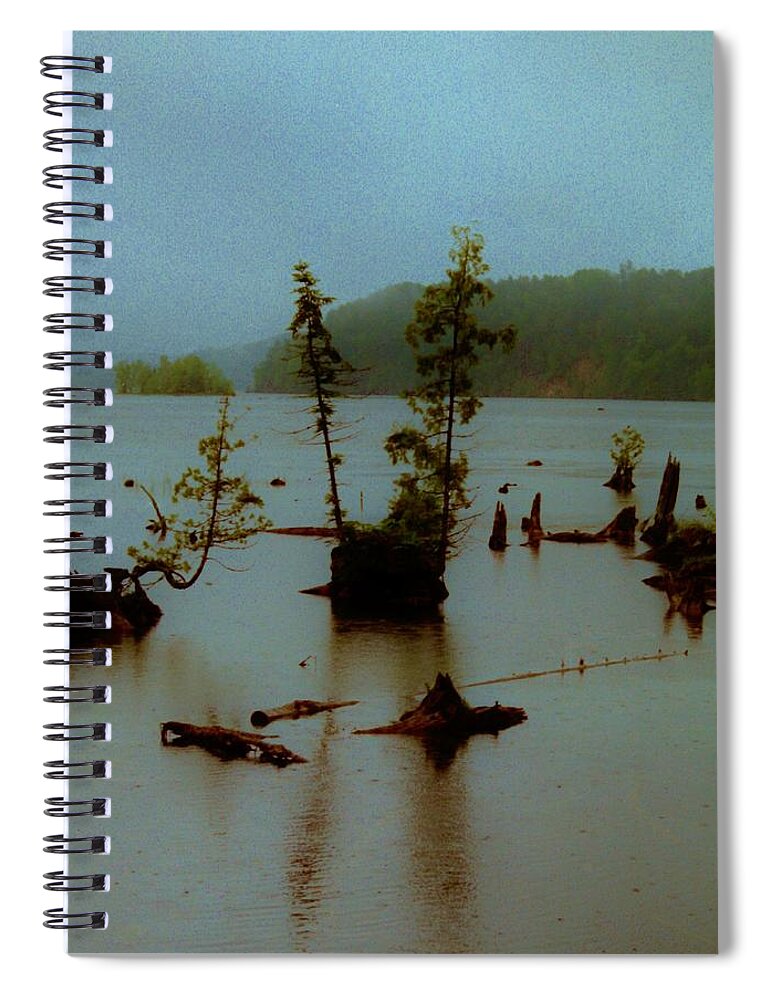  Spiral Notebook featuring the photograph Au Sable X by Daniel Thompson
