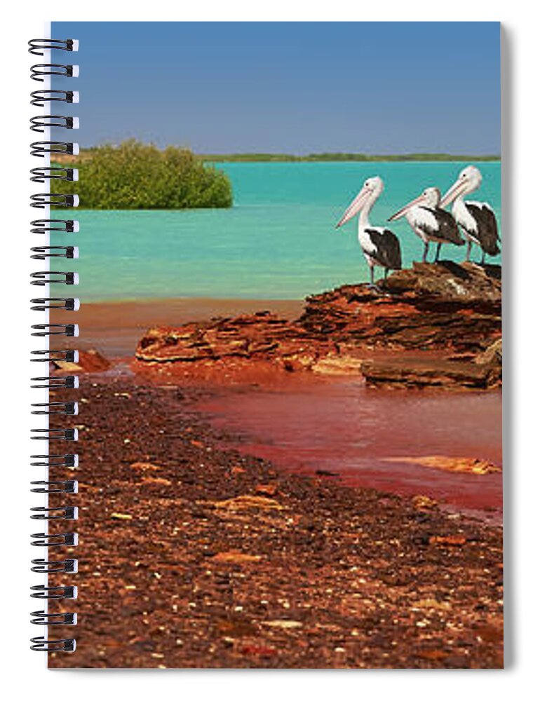 Martin Willis Spiral Notebook featuring the photograph Australian Pelicans Roebuck Bay by Martin Willis