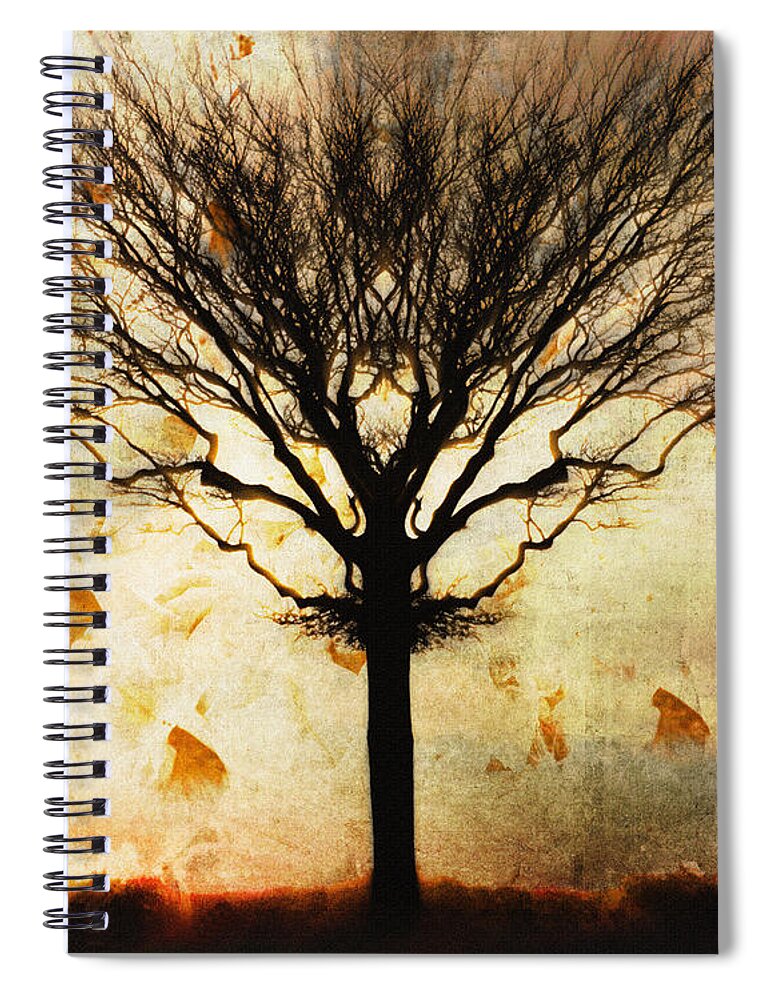 Nag004060 Spiral Notebook featuring the photograph Autum Wind by Edmund Nagele FRPS