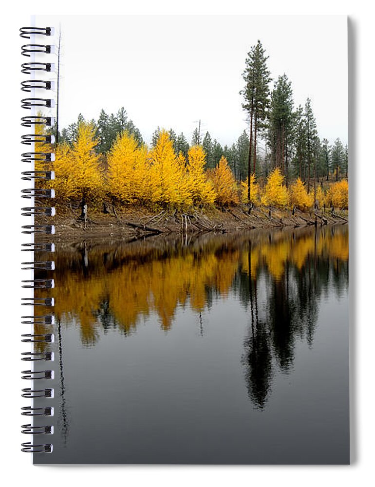 Reflections Spiral Notebook featuring the photograph Autumn Arrow by Allan Van Gasbeck