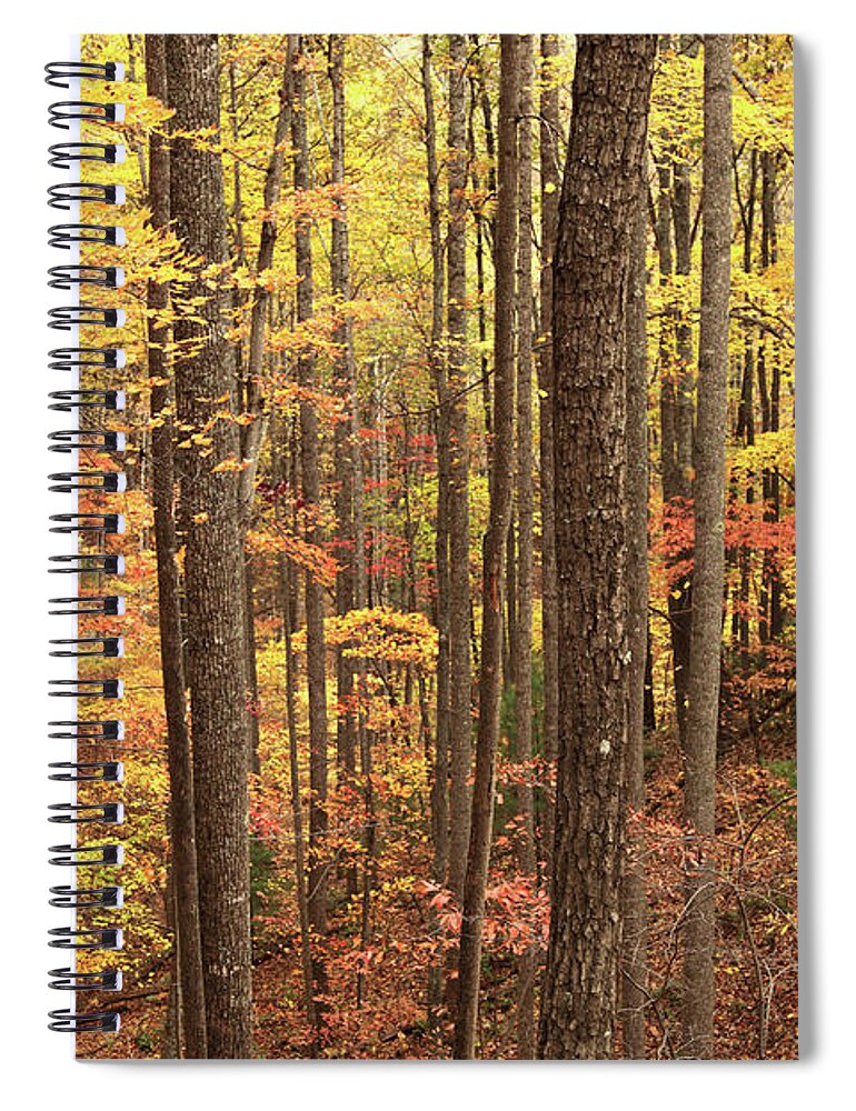 Scenics Spiral Notebook featuring the photograph Autumn Background by Denistangneyjr