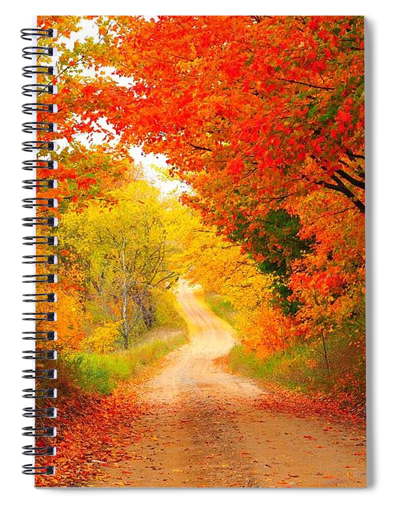 Autumn Spiral Notebook featuring the photograph Autumn Cameo 2 by Terri Gostola
