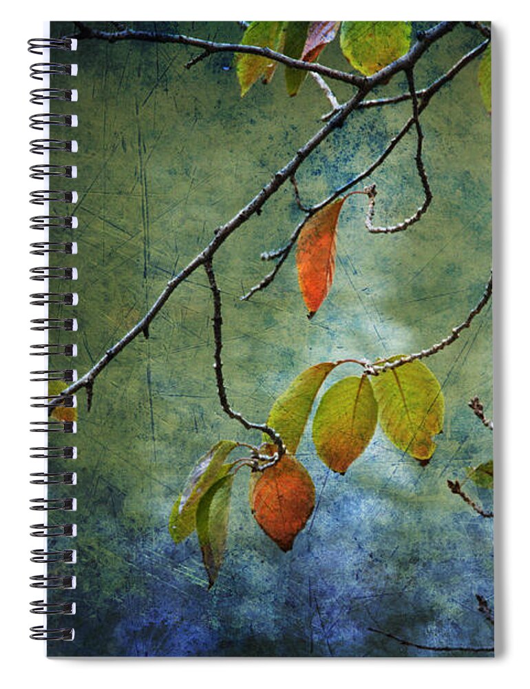 Autumn Spiral Notebook featuring the photograph Autumn Colours by Eena Bo