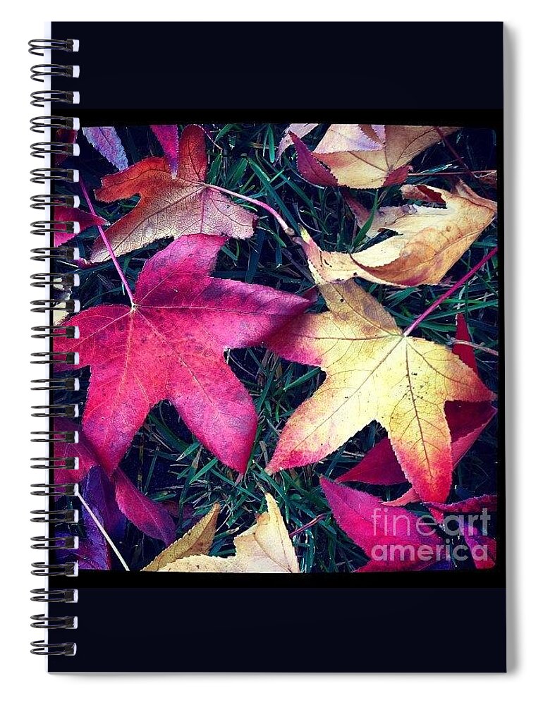 Leaves Spiral Notebook featuring the photograph Autumn by Denise Railey