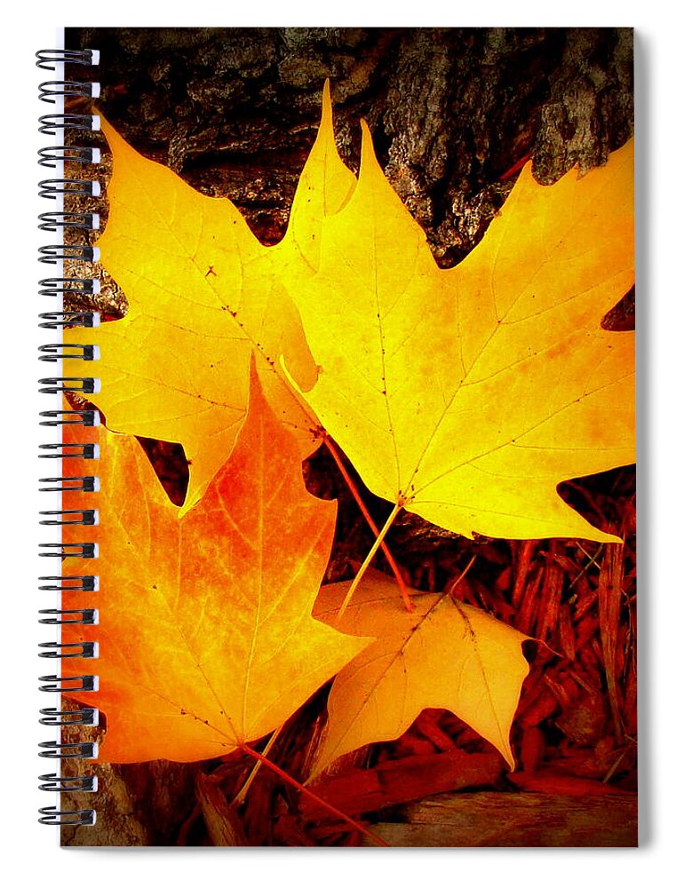 Fine Art Spiral Notebook featuring the photograph Autumn Fire by Rodney Lee Williams