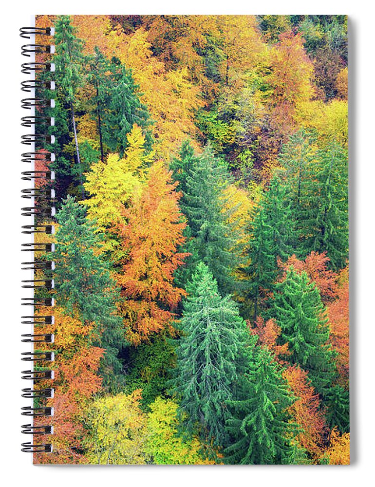 Viewpoint Spiral Notebook featuring the photograph Autumn Forest by Borchee