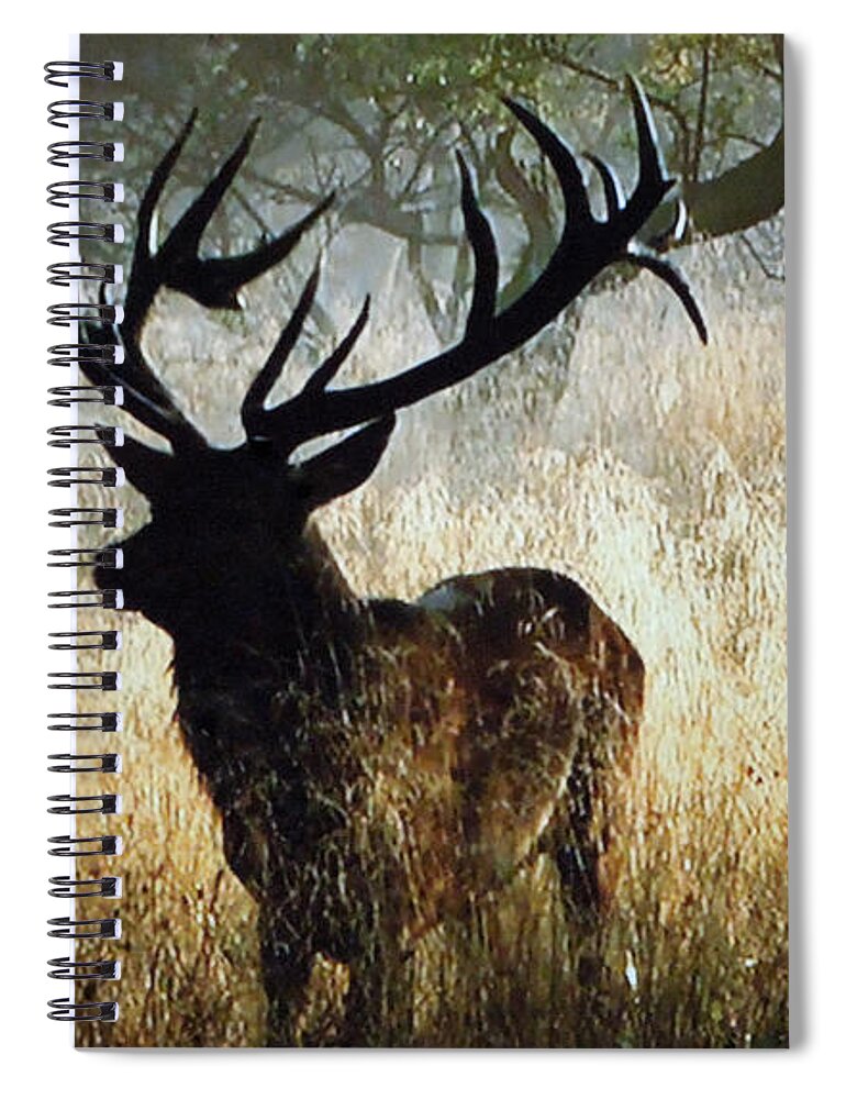 Colette Spiral Notebook featuring the photograph Autumn Forest walk in Denmark by Colette V Hera Guggenheim