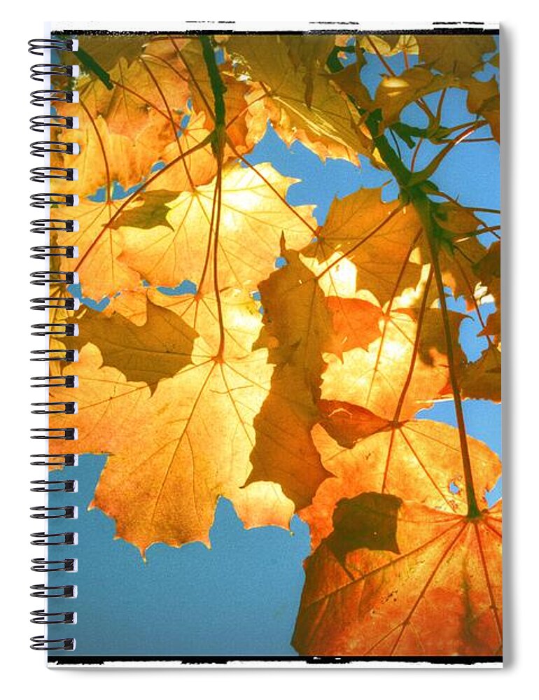 Autumn Spiral Notebook featuring the photograph Autumn Found by Spikey Mouse Photography