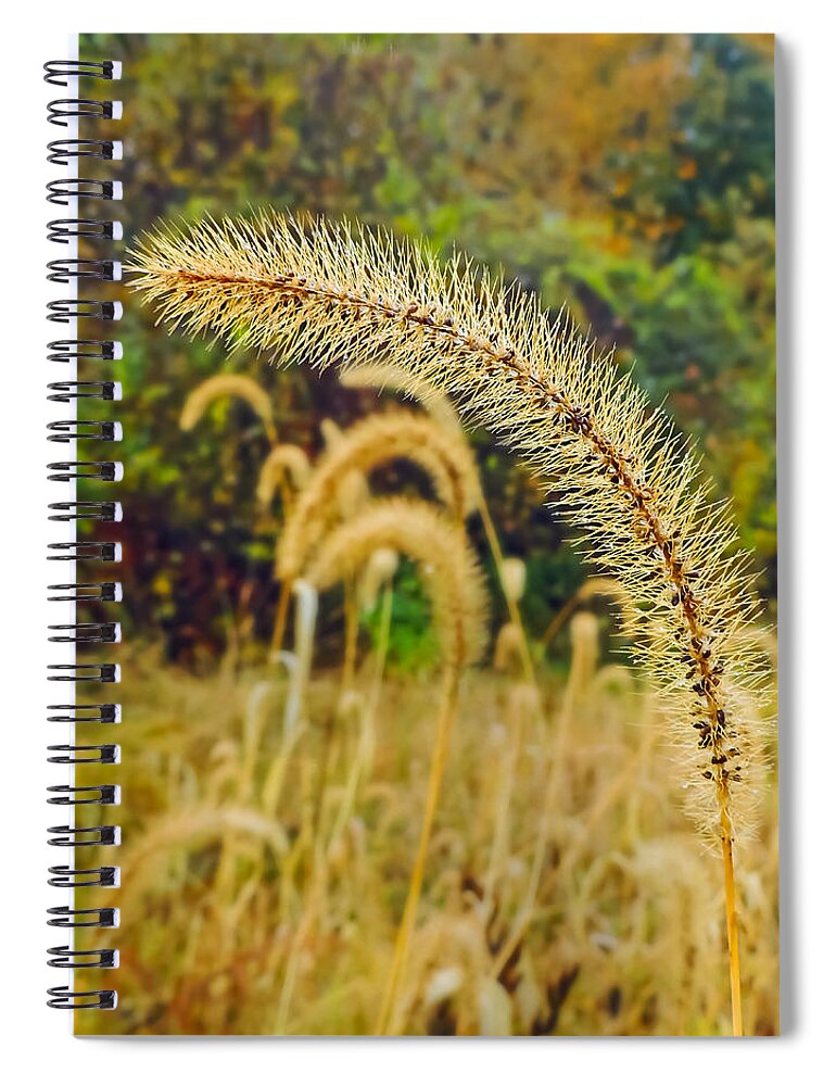 Autumn Spiral Notebook featuring the photograph Autumn Grass by Robert Mitchell