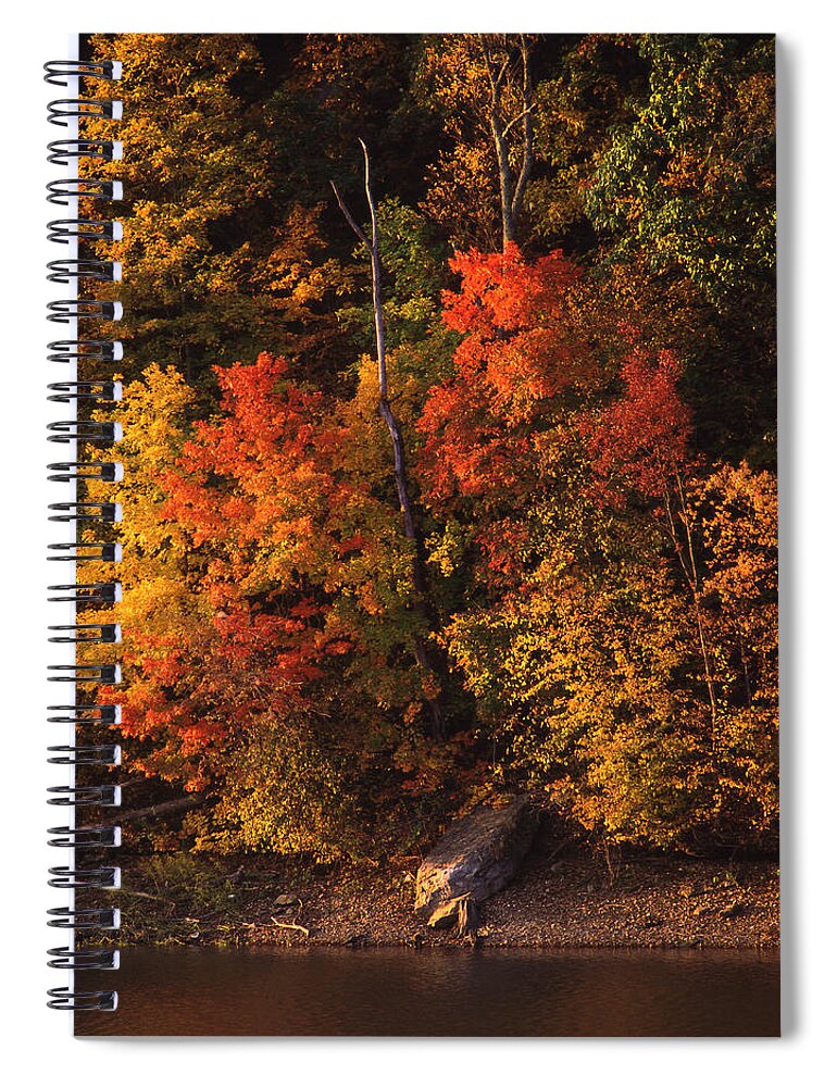 Fall Foliage Spiral Notebook featuring the photograph Autumn in the Ozarks by Greg Kopriva