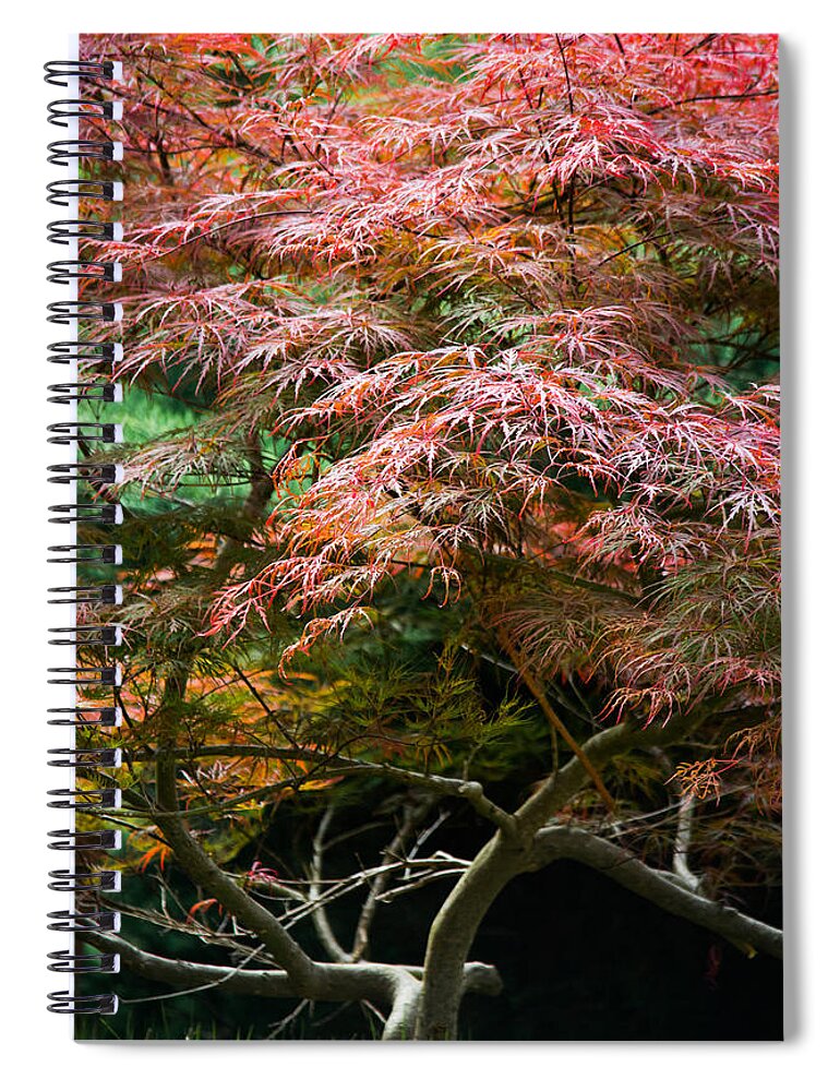 Autumn Spiral Notebook featuring the photograph Autumn Is Here by Parker Cunningham