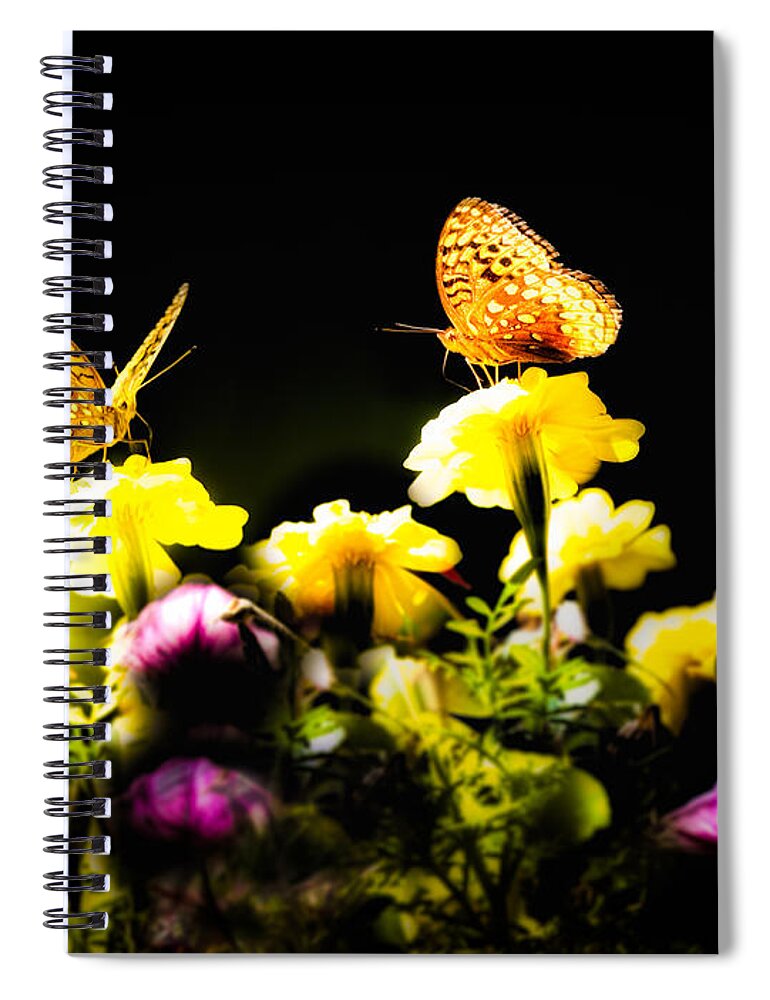 Insect Spiral Notebook featuring the photograph Autumn is when we first met by Bob Orsillo