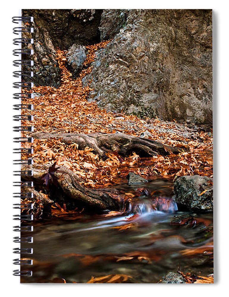 Autumn Spiral Notebook featuring the photograph Autumn landscape by Michalakis Ppalis