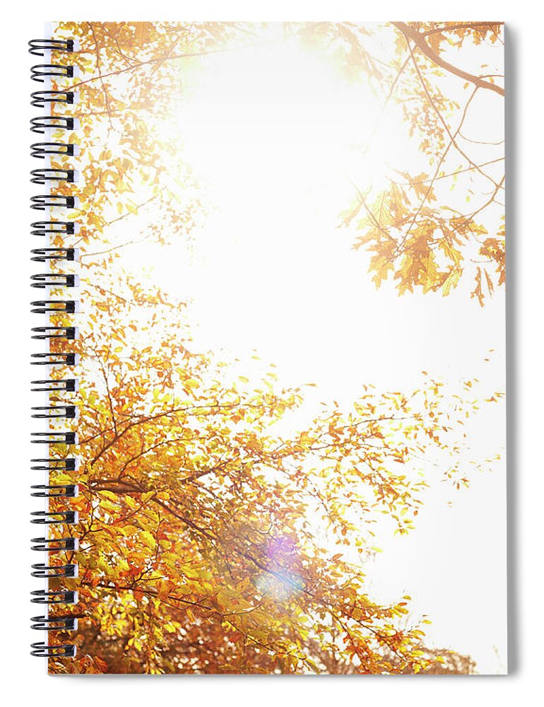 Tranquility Spiral Notebook featuring the photograph Autumn Leafs In Full Colour by Paul Viant