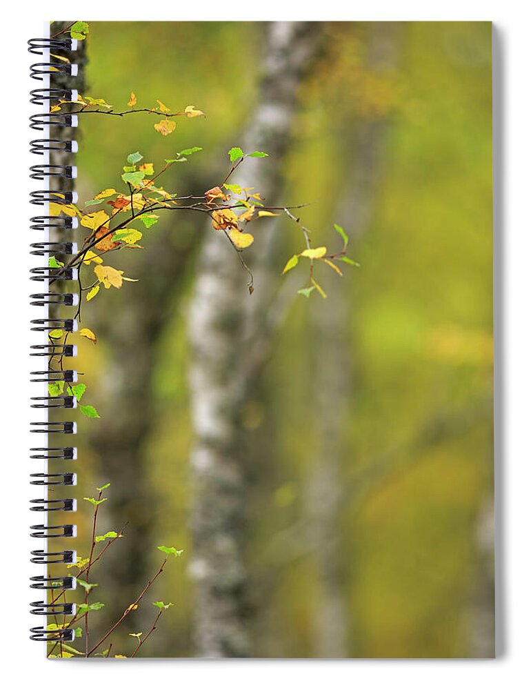 Scotland Spiral Notebook featuring the photograph Autumn Leaves In The Scottish Highlands by Louise Heusinkveld
