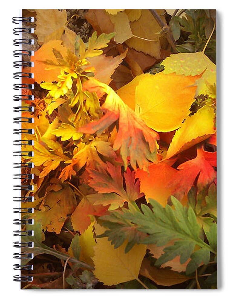 Autumn Masquerade Spiral Notebook featuring the photograph Autumn Masquerade by Martin Howard