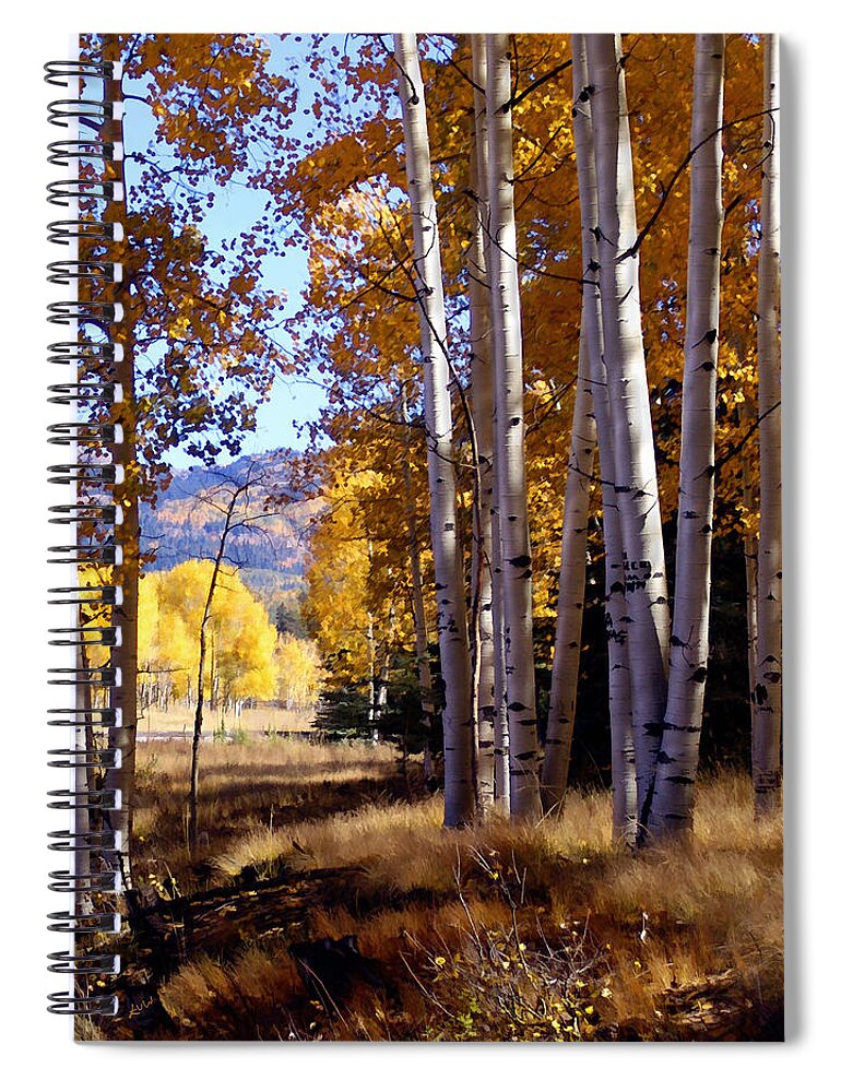 Trees Spiral Notebook featuring the photograph Autumn Paint Chama New Mexico by Kurt Van Wagner