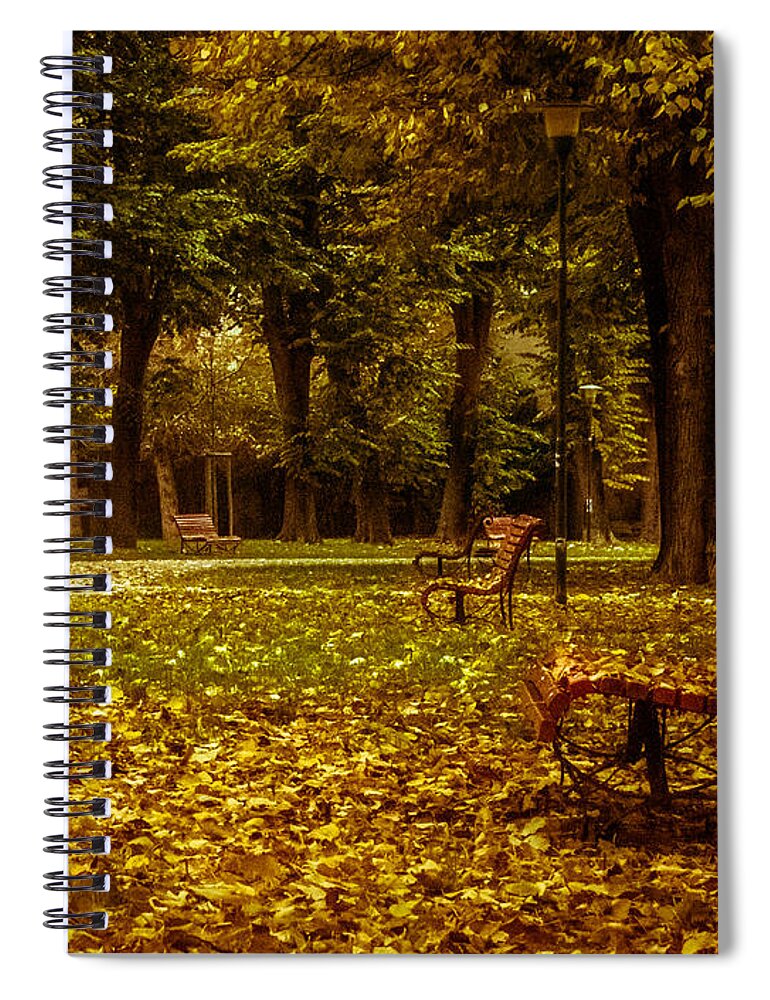Autumn Park Spiral Notebook featuring the photograph Autumn Park by Prints of Italy