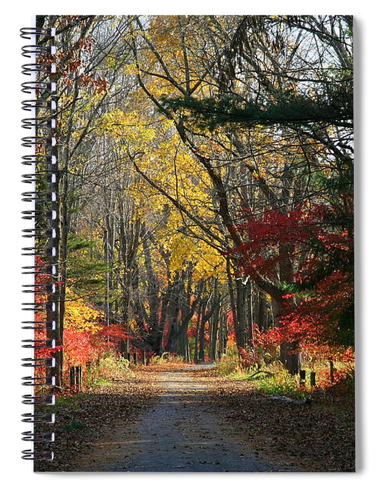 Autumn Spiral Notebook featuring the photograph Autumn Paths  No.2 by Neal Eslinger