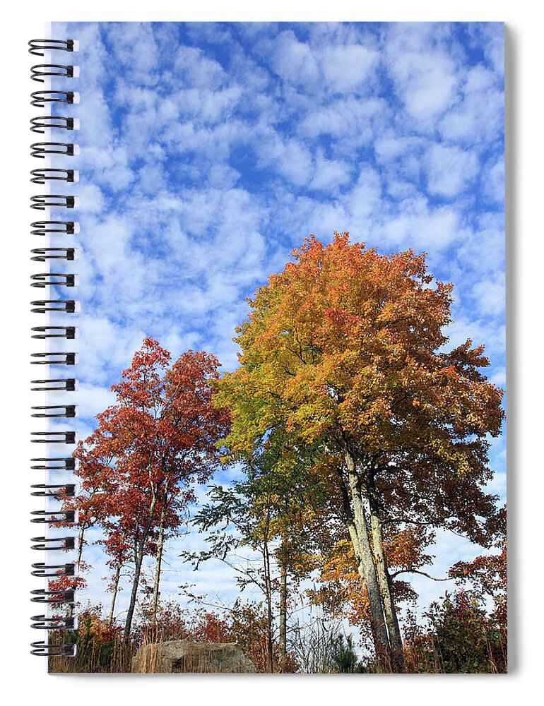 Scenic Spiral Notebook featuring the photograph Autumn Perfection by Jennifer Robin