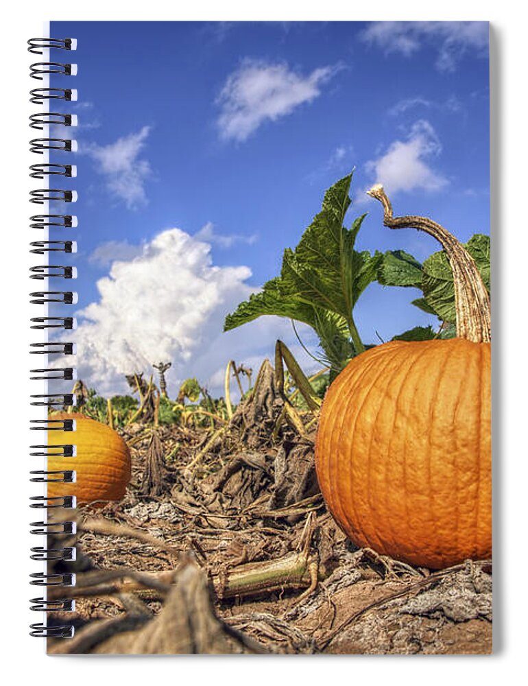 Pumpkin Spiral Notebook featuring the photograph Autumn Pumpkin Patch - Fall - Halloween by Jason Politte