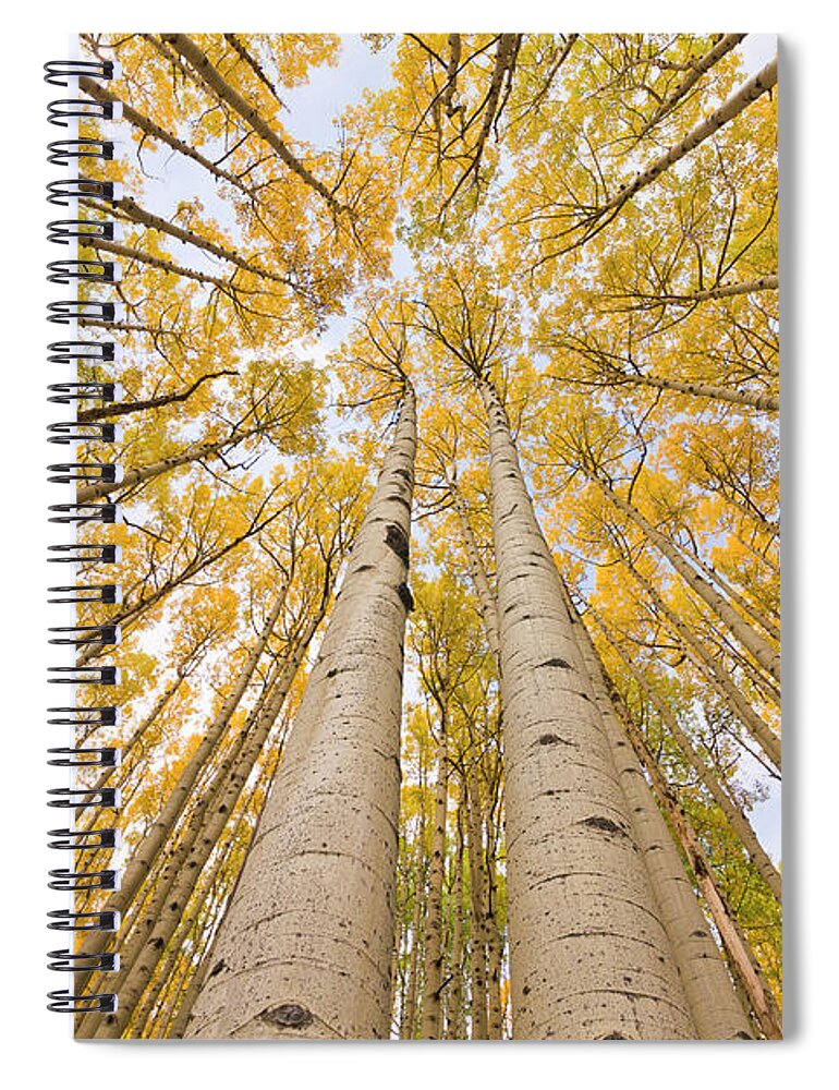00559141 Spiral Notebook featuring the photograph Autumn Quaking Aspen Rocky Mts Colorado by Yva Momatiuk and John Eastcott