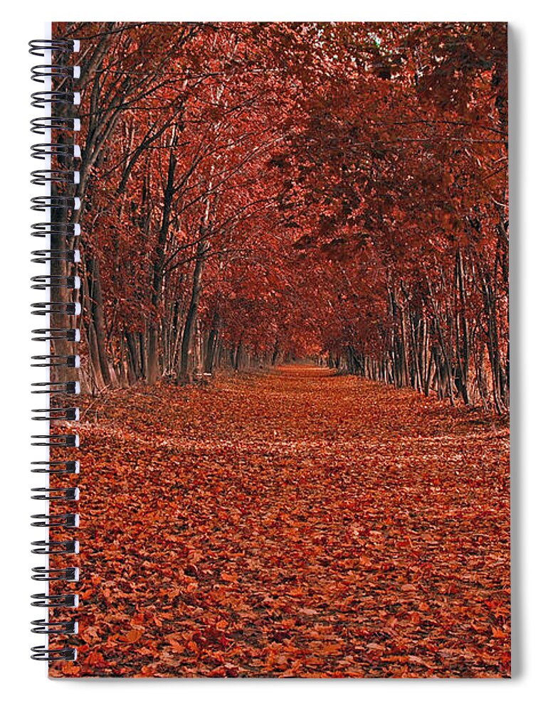 Autumn Spiral Notebook featuring the photograph Autumn by Raymond Salani III