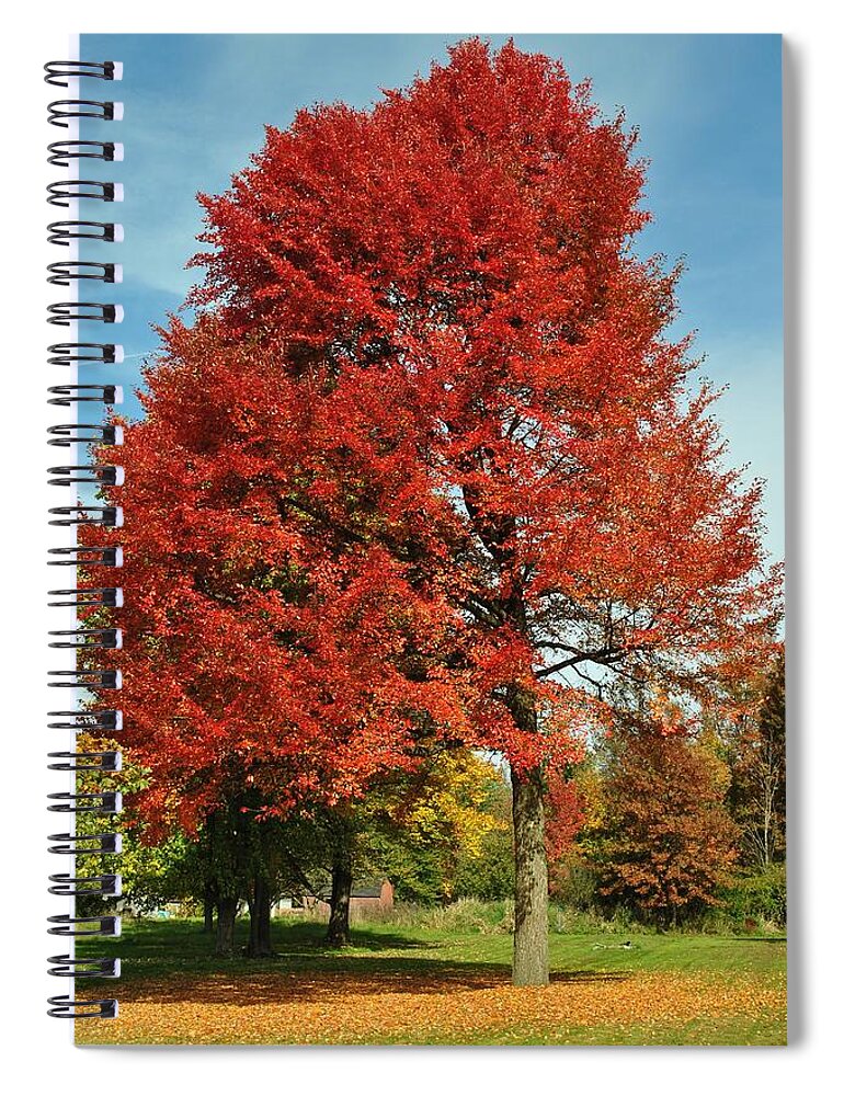 Autumn Spiral Notebook featuring the photograph Autumn Red by Frozen in Time Fine Art Photography