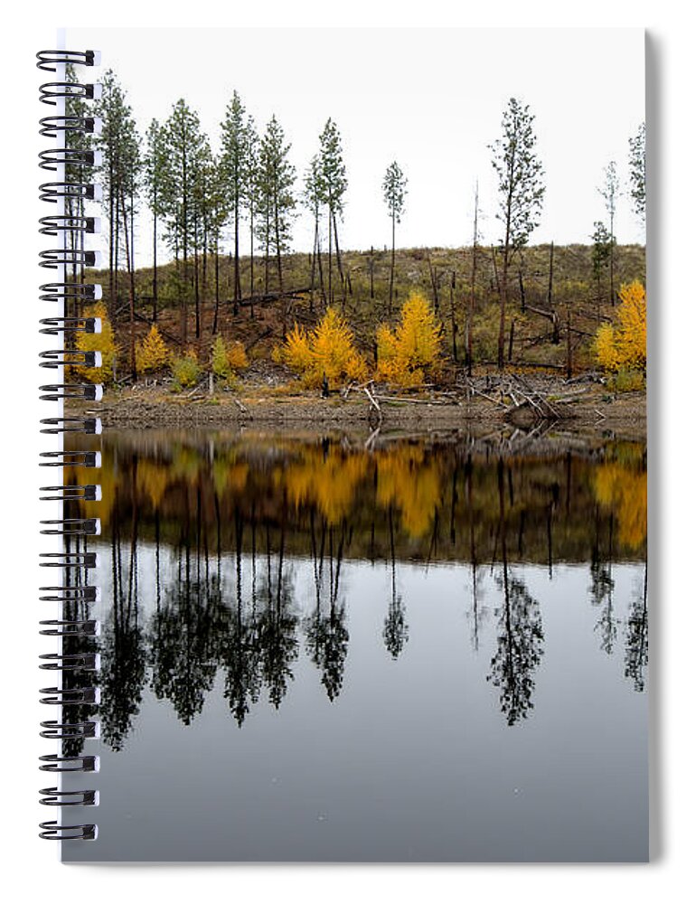 Reflections Spiral Notebook featuring the photograph Autumn Reflection by Allan Van Gasbeck