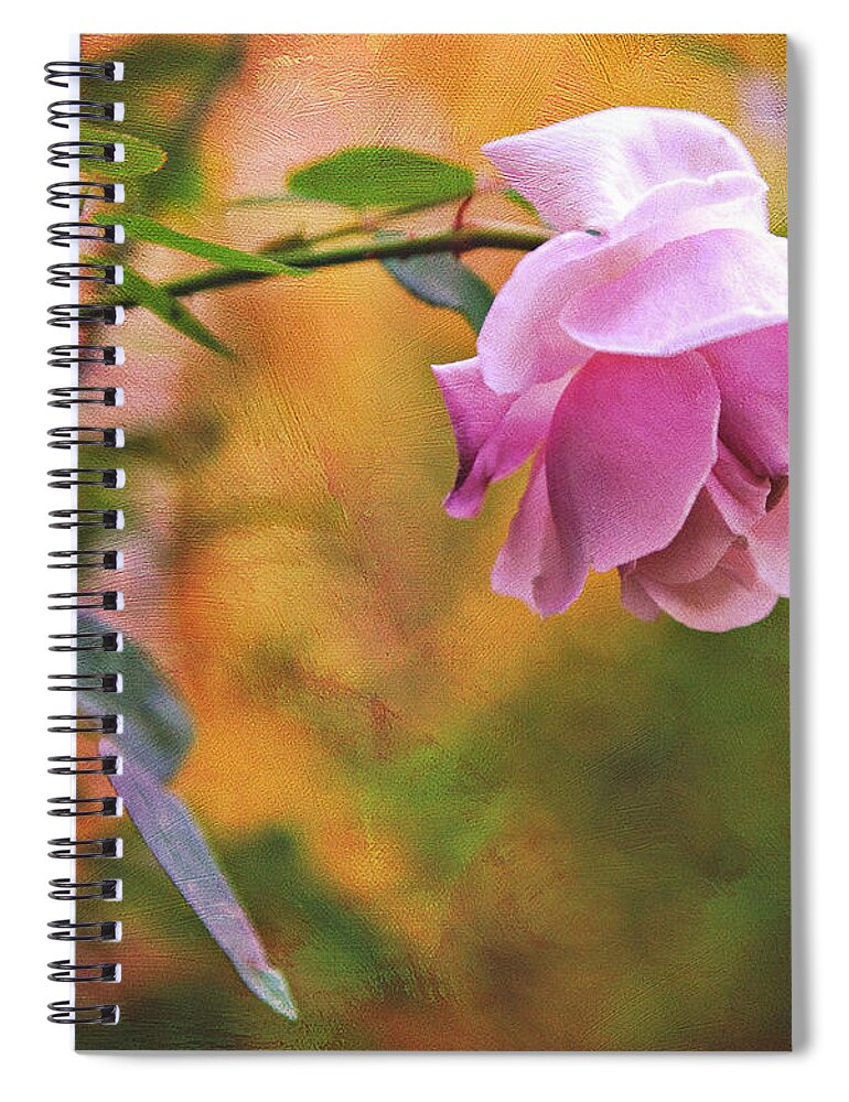 Rose Spiral Notebook featuring the photograph Autumn Rose by Theresa Tahara