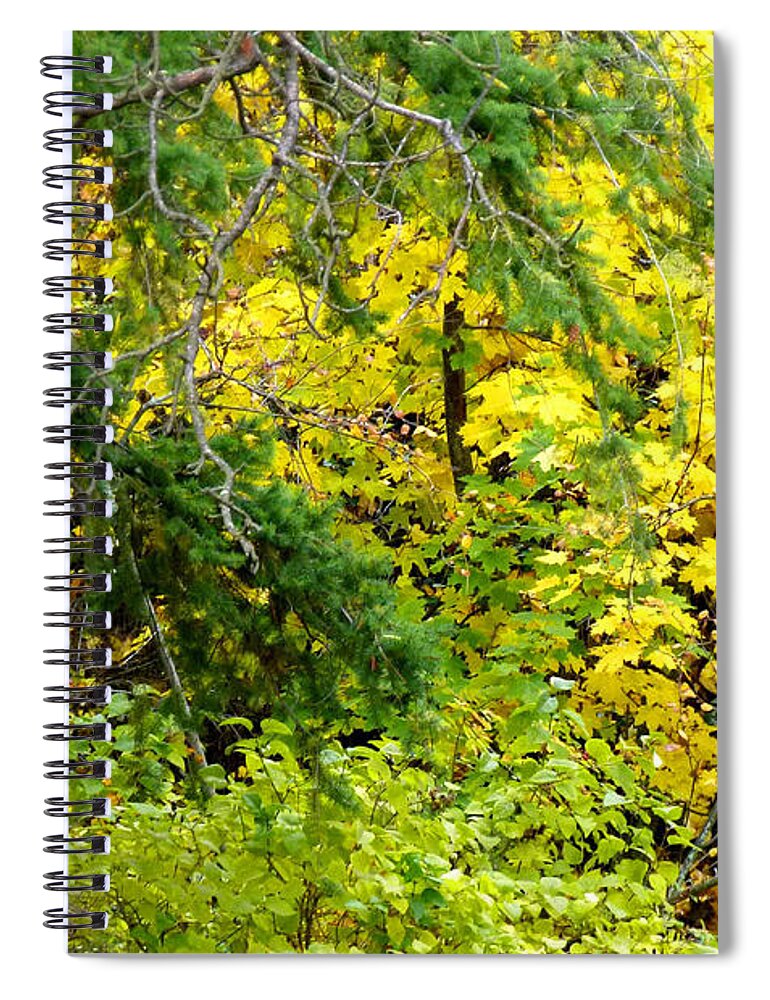 Autumn Splendor 14 Spiral Notebook featuring the photograph Autumn Splendor 14 by Will Borden