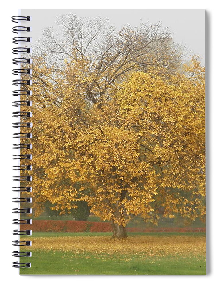 Autumn Spiral Notebook featuring the photograph Autumn Splendor by Vivian Martin