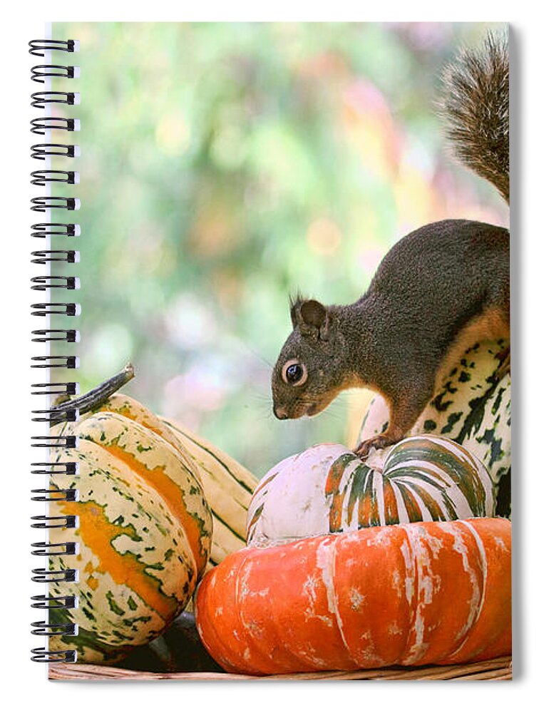 Autumn Spiral Notebook featuring the photograph Autumn Still Life with Squirrel by Peggy Collins