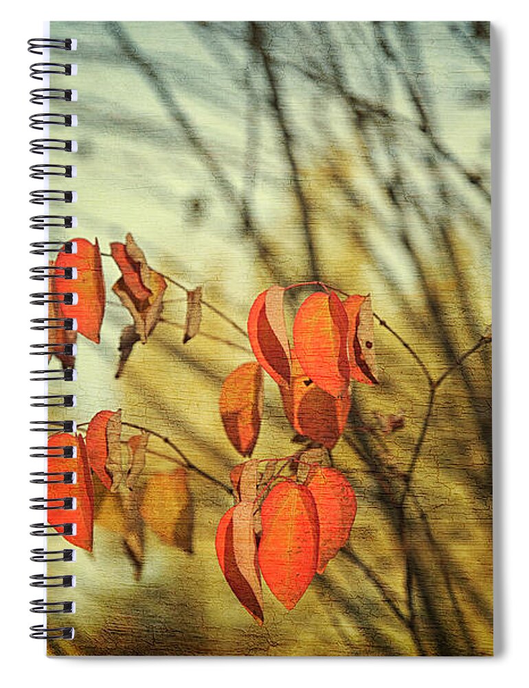 Autumn Spiral Notebook featuring the photograph Autumn by Theresa Tahara