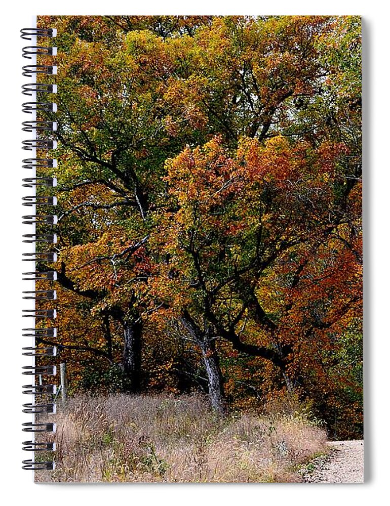 Autumn Spiral Notebook featuring the photograph Autumn Trail 2 by Deena Stoddard