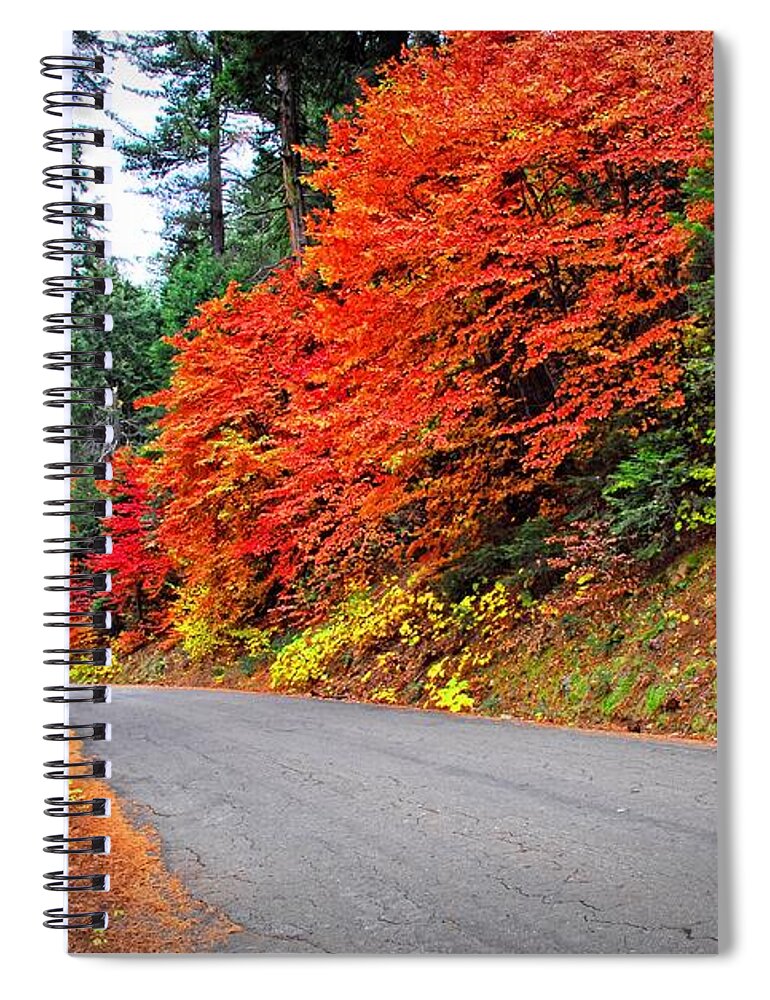 Fall Spiral Notebook featuring the photograph Autumn's Glory by Lynn Bauer