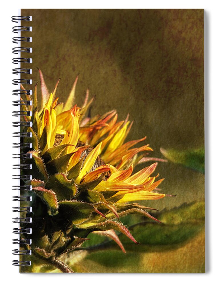 Sunflower Spiral Notebook featuring the photograph Autumns Touch by Sue Capuano