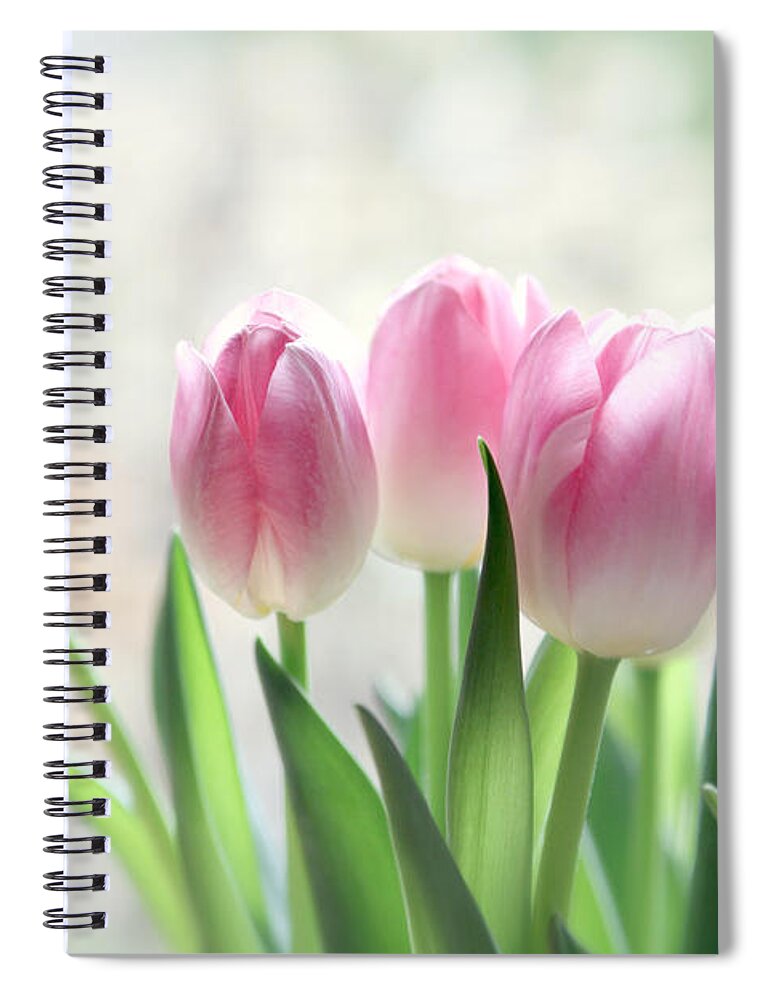 Tulips Spiral Notebook featuring the photograph Awakening- Pale Pink Tulips by Sylvia Cook
