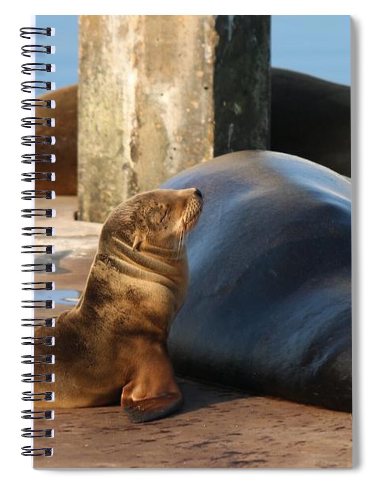 Wild Spiral Notebook featuring the photograph Baby and Me by Christy Pooschke