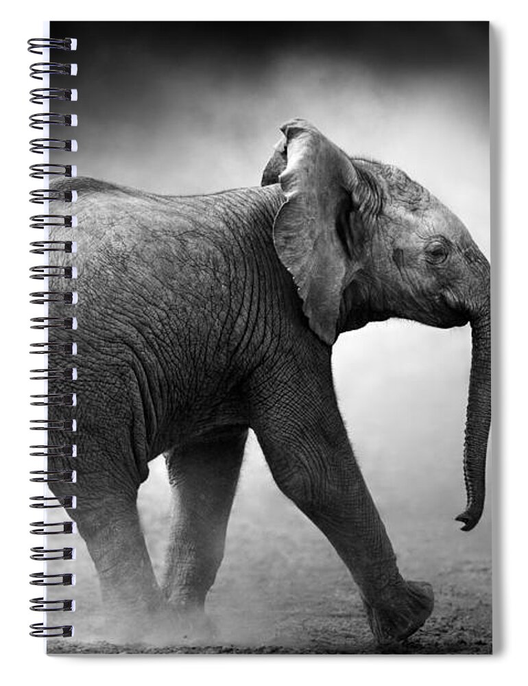 Elephant Spiral Notebook featuring the photograph Baby Elephant running by Johan Swanepoel