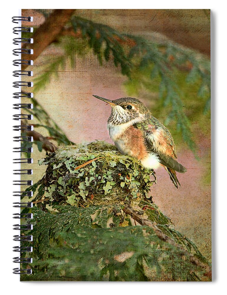 Hummingbirds Spiral Notebook featuring the photograph Baby Hummingbird in the Forest by Peggy Collins