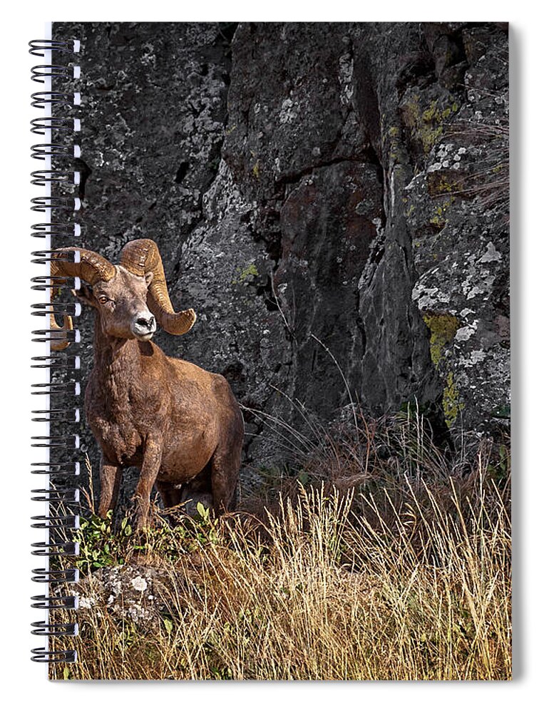 Back Against The Wall Spiral Notebook featuring the photograph Back Against The Wall by Wes and Dotty Weber