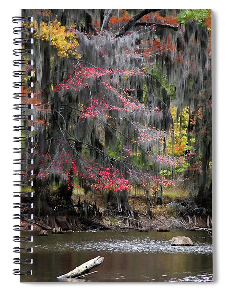 Autumn Spiral Notebook featuring the photograph Backwater Autumn by Lana Trussell