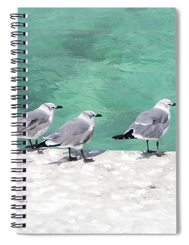 Bird Spiral Notebook featuring the photograph Bahama Birds by Aimee L Maher ALM GALLERY