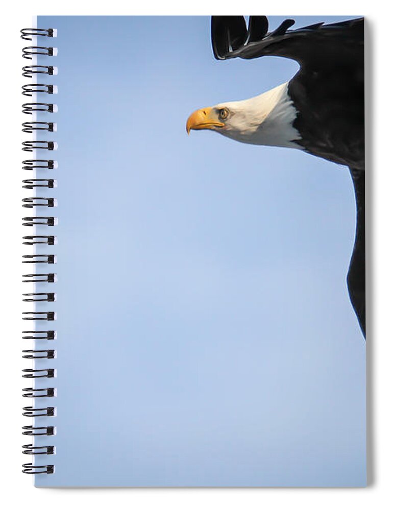 Raptor Spiral Notebook featuring the photograph Bald Eagle in Flight by Eleanor Abramson