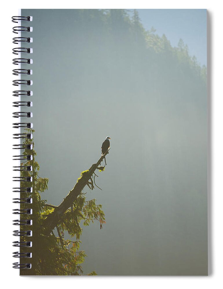 Bald Eagle Spiral Notebook featuring the photograph Bald Eagle on Guard by Bill Cubitt