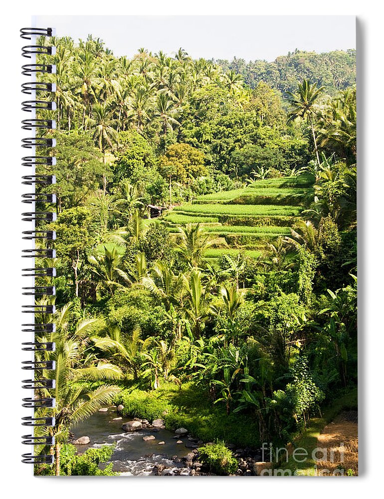 Indonesia Spiral Notebook featuring the photograph Bali Sayan Rice Terraces by Rick Piper Photography