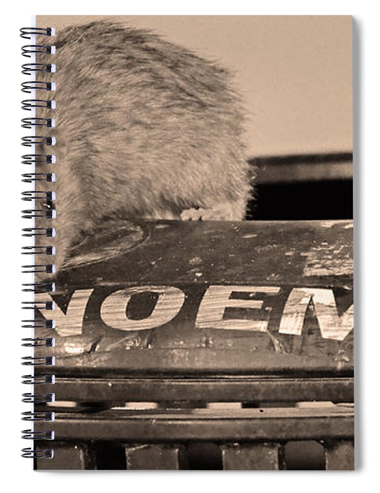 Rat Spiral Notebook featuring the photograph Baltimore Rat by La Dolce Vita